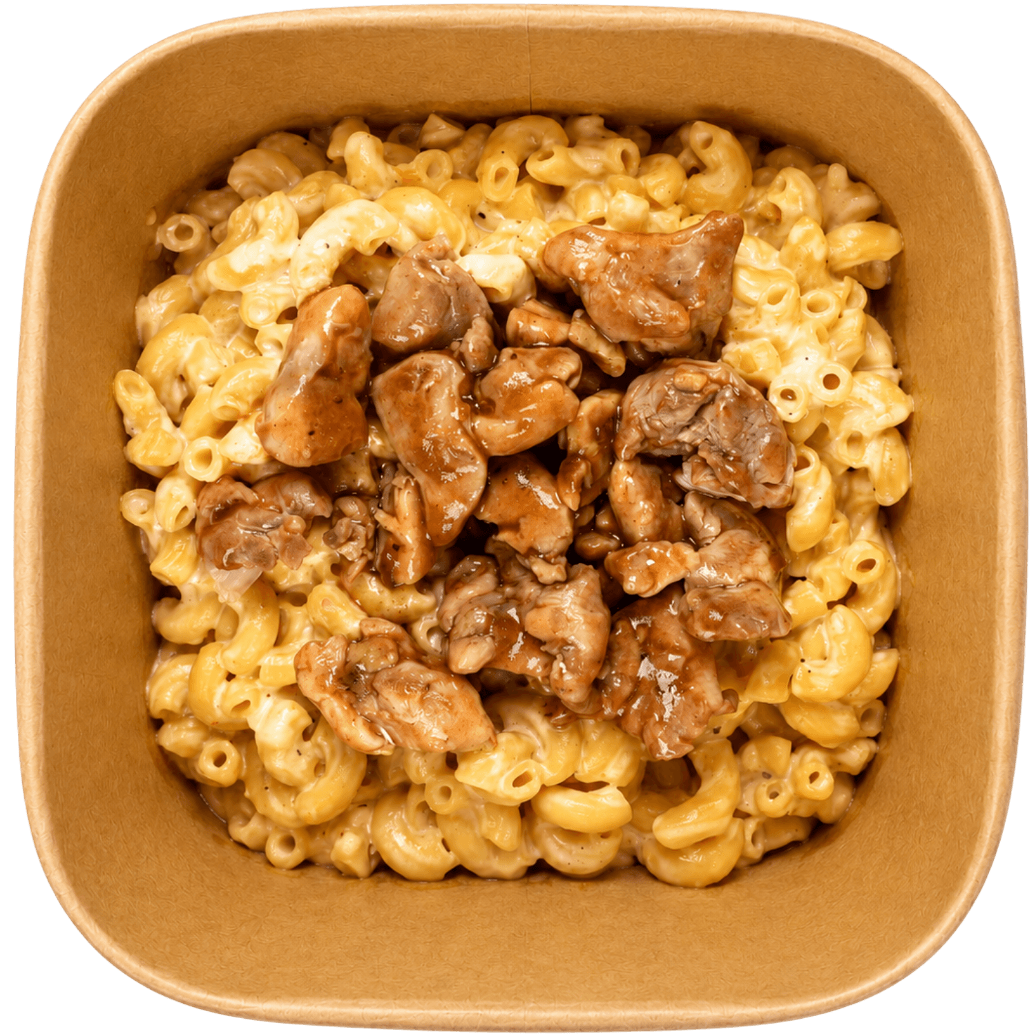 Core Fuel dish 3