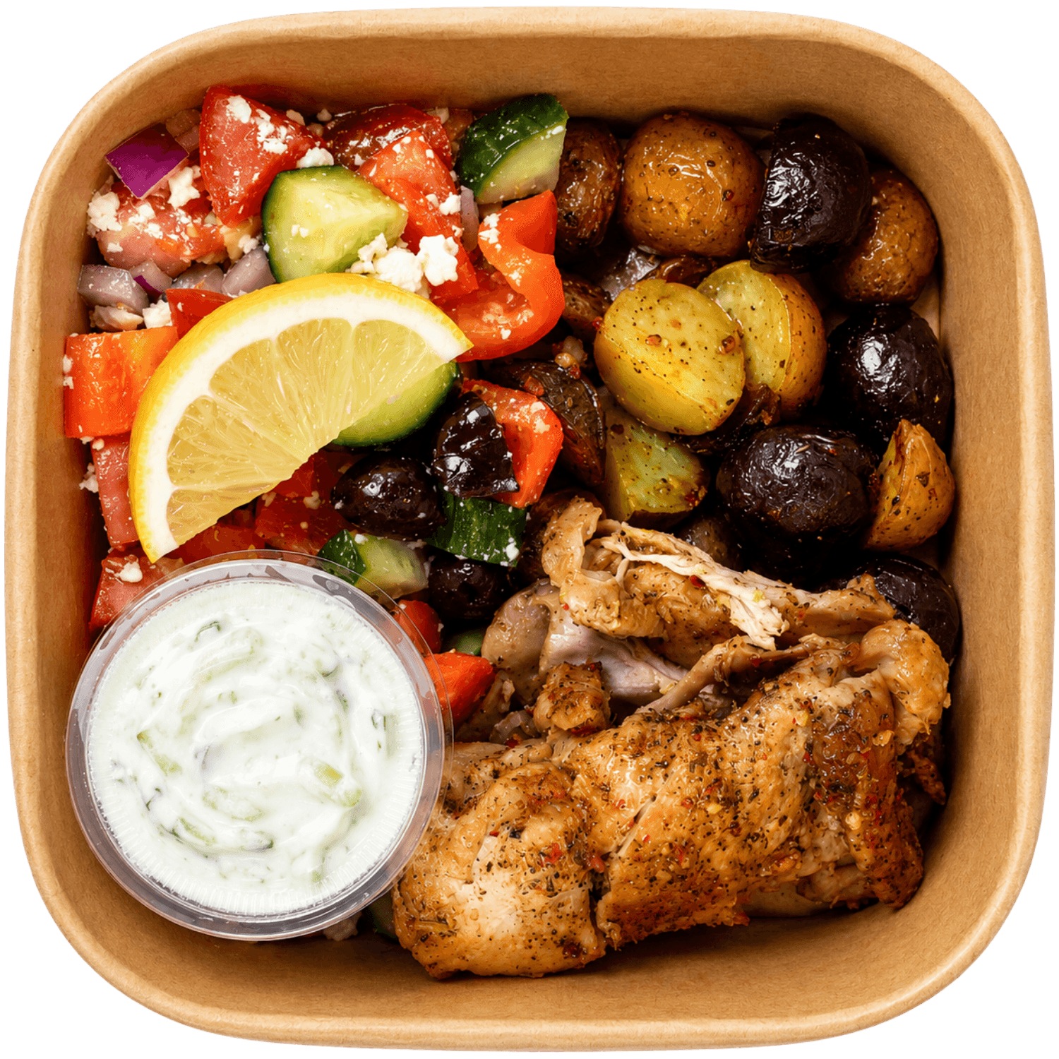 Core Fuel dish 4